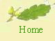 Forewood Home