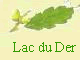 Lac du Der